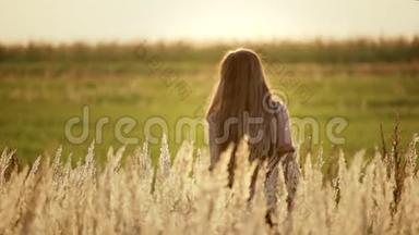 夕阳西下，一个长发少女穿着浪漫的夏装在麦穗间漫步在金色的田野片金色的田野